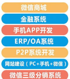 惠州最有實(shí)力的軟件開發(fā)公司 專業(yè)網(wǎng)站商城開發(fā)