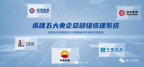 軟件 王 ,承建央企軟件系統,自主可控,誰會是下一個華為鴻蒙