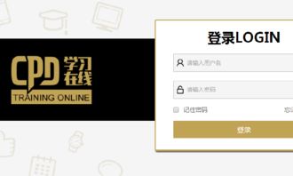 java開發實習面試 看準網