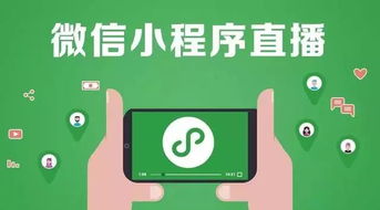 新風口 小程序直播月銷100萬,加速社交電商直播變現