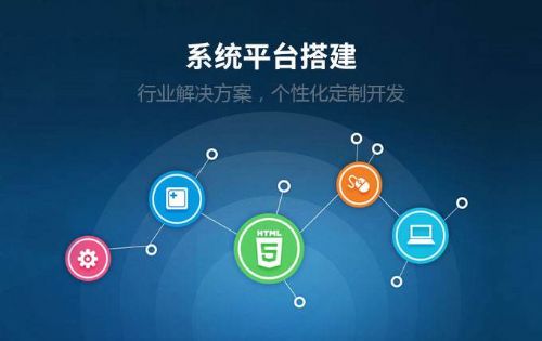 抖推貓系統開發平臺
